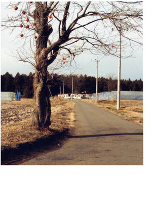 \u4eca\u5e02\u3000\u901a\u5b66\u8def